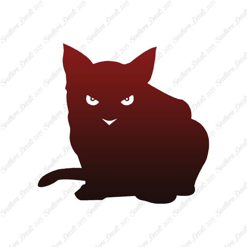 Cat Eyes Kitten
