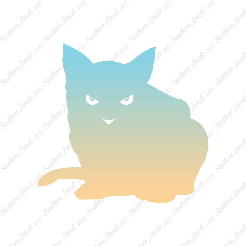 Cat Eyes Kitten