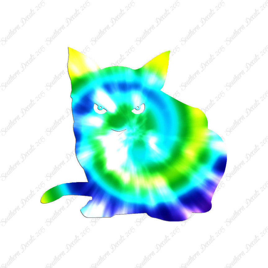 Cat Eyes Kitten