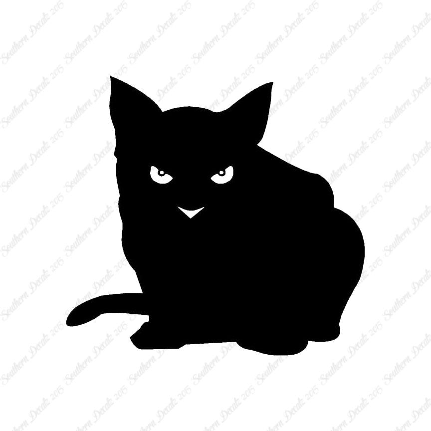 Cat Eyes Kitten