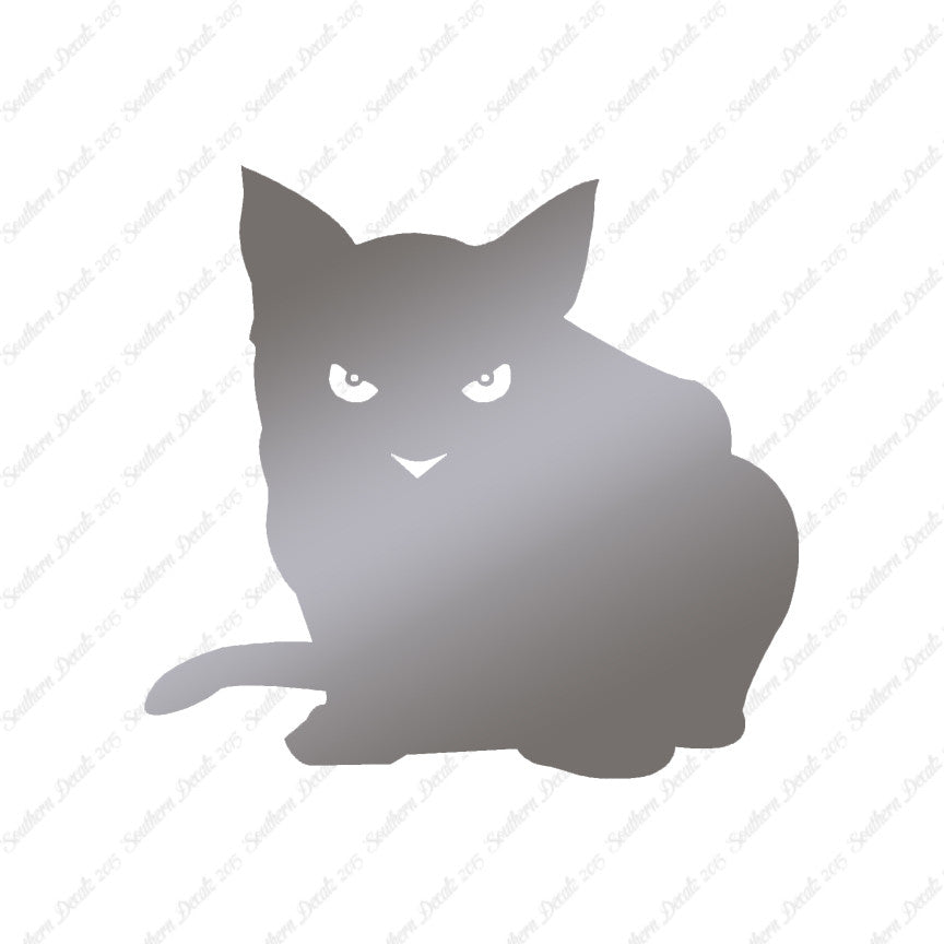 Cat Eyes Kitten
