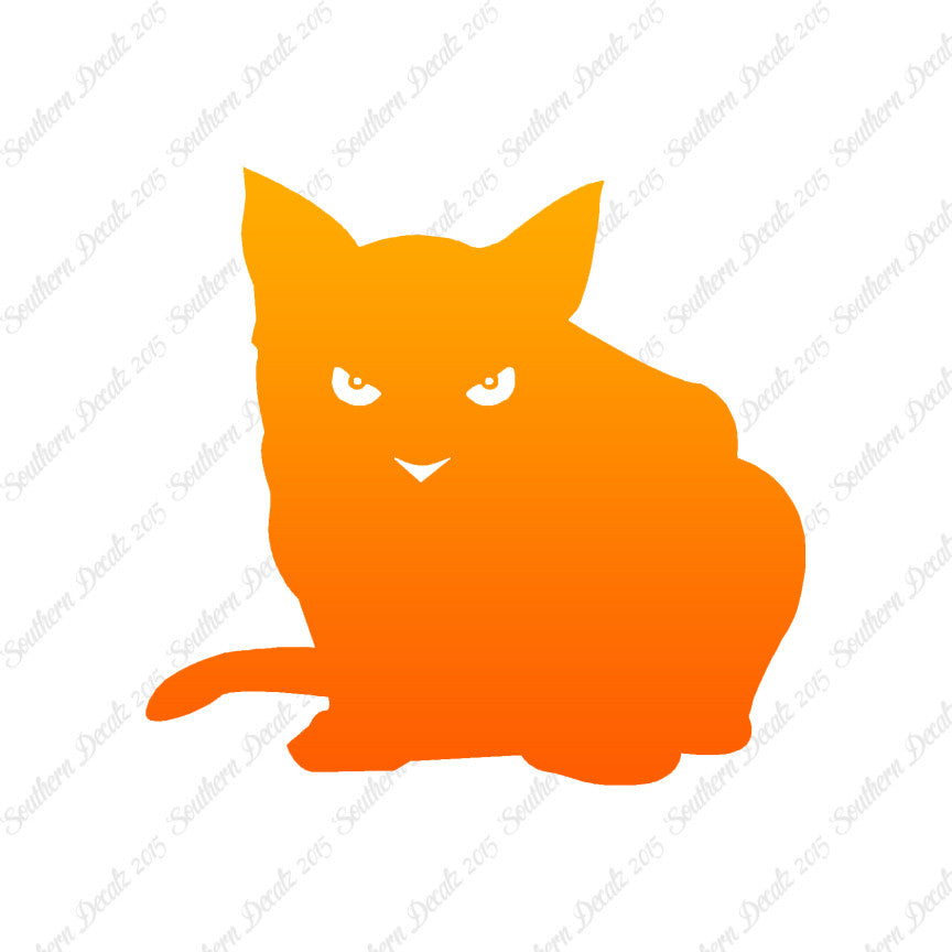 Cat Eyes Kitten