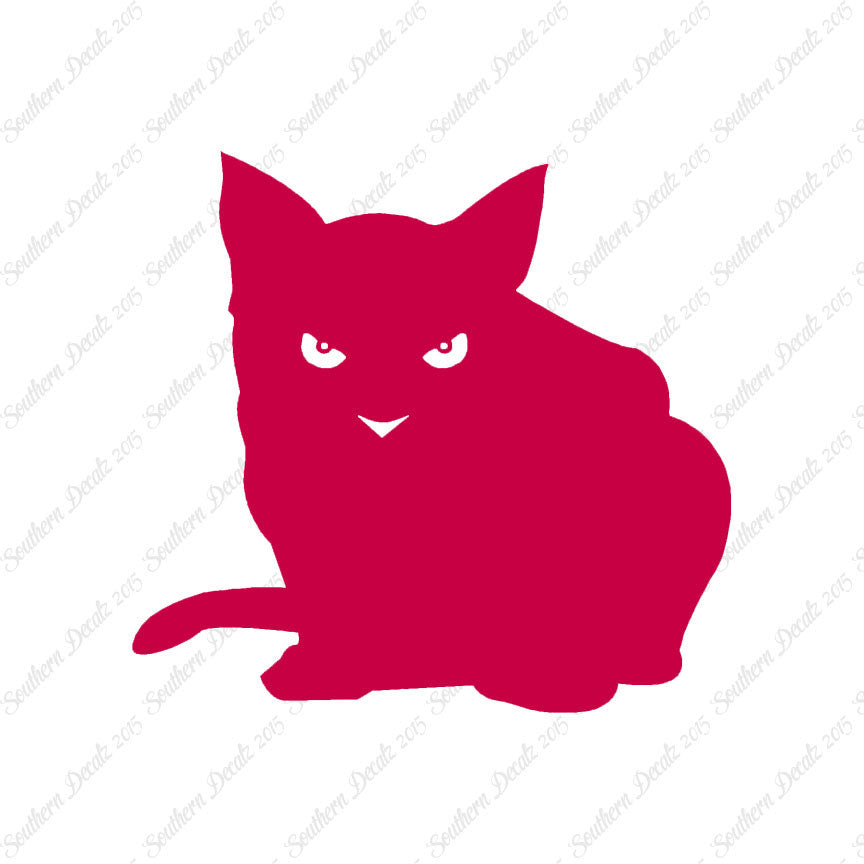 Cat Eyes Kitten