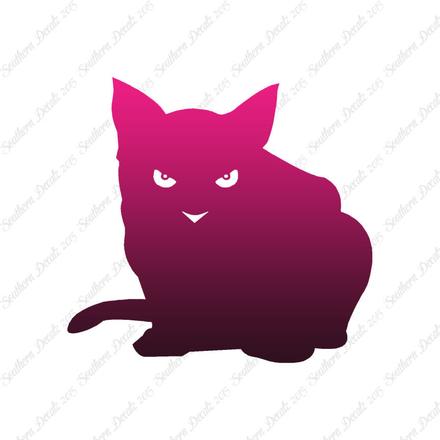 Cat Eyes Kitten