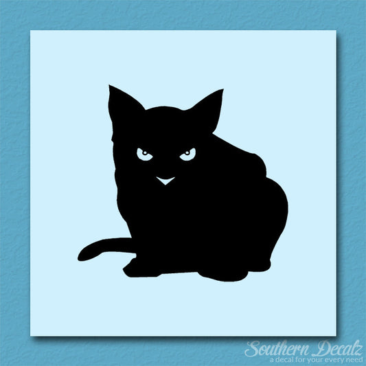 Cat Eyes Kitten