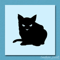 Cat Eyes Kitten