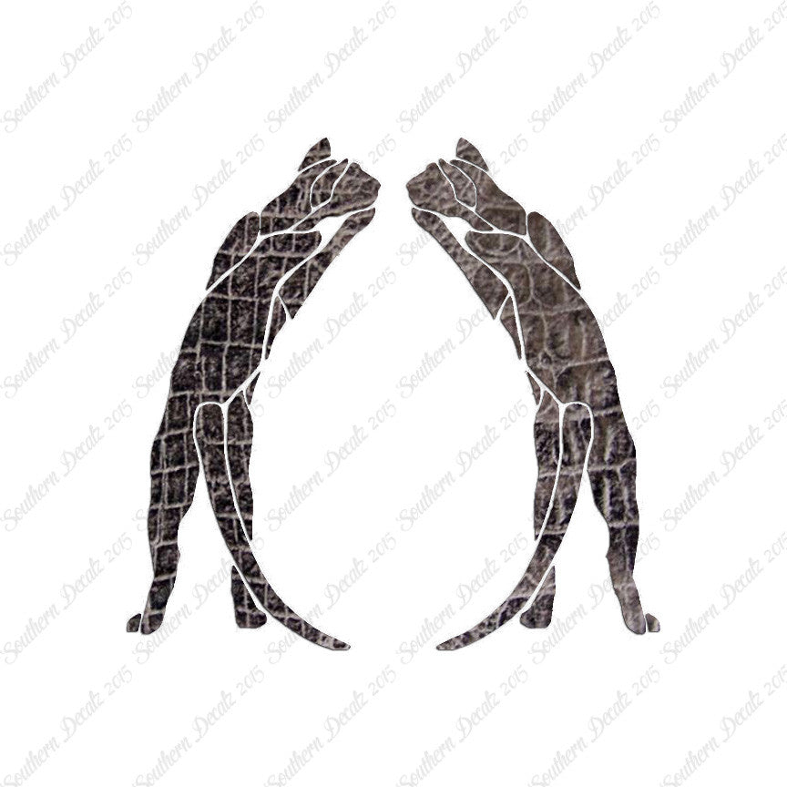 Pair Of Cats Kittens