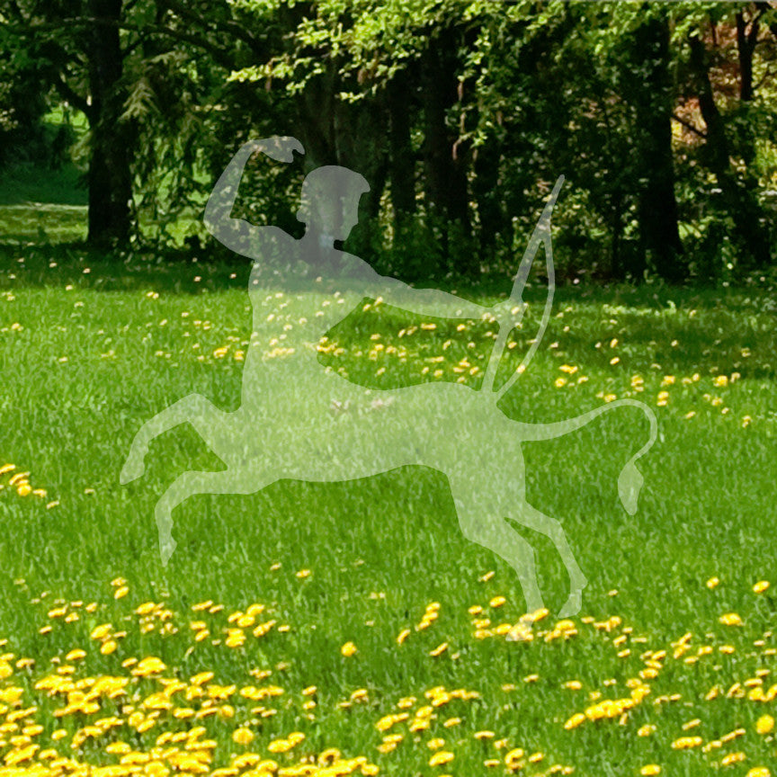Centaur Archer Fantasy