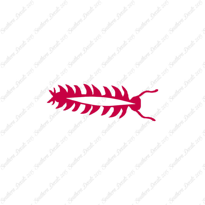 Centipede Bug Insect