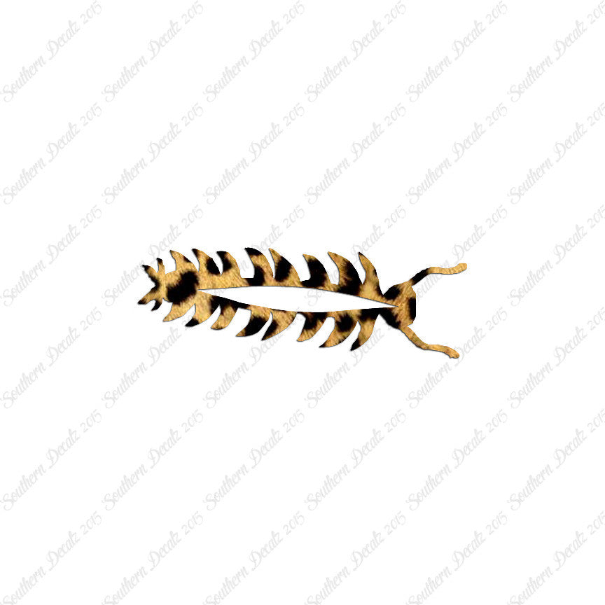 Centipede Bug Insect