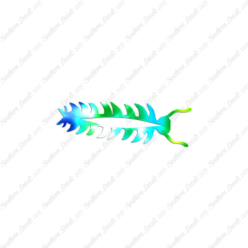 Centipede Bug Insect