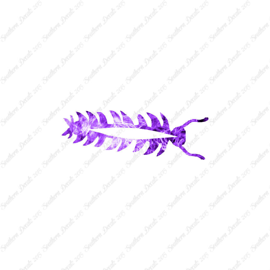 Centipede Bug Insect