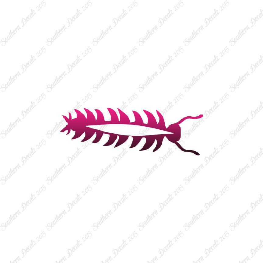 Centipede Bug Insect