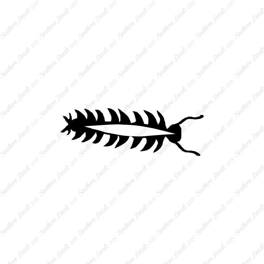 Centipede Bug Insect
