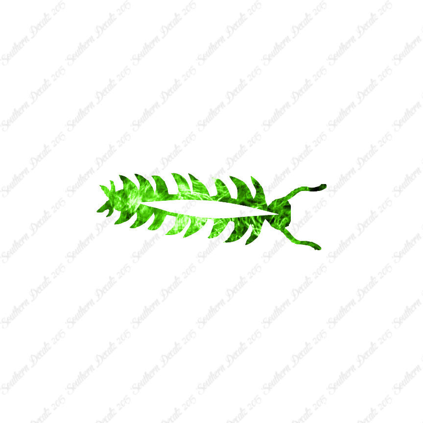 Centipede Bug Insect