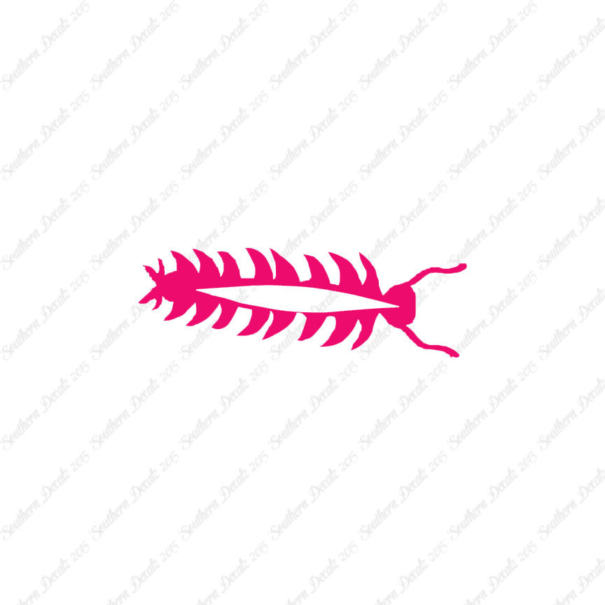 Centipede Bug Insect