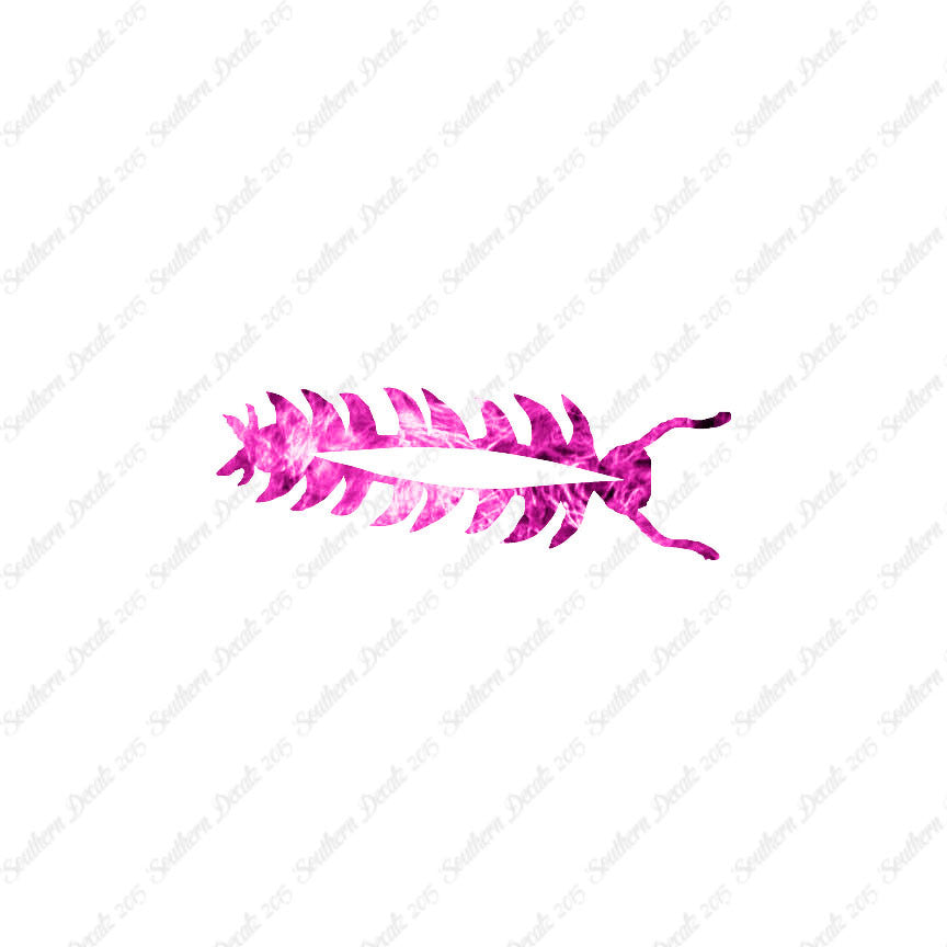 Centipede Bug Insect