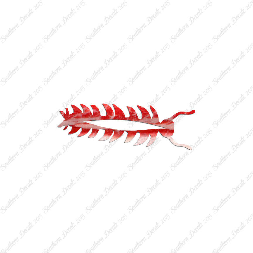 Centipede Bug Insect