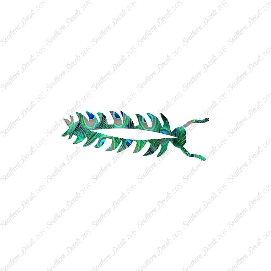 Centipede Bug Insect