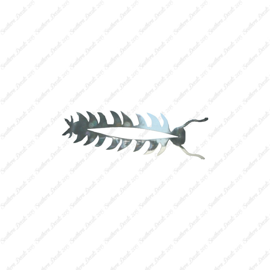 Centipede Bug Insect