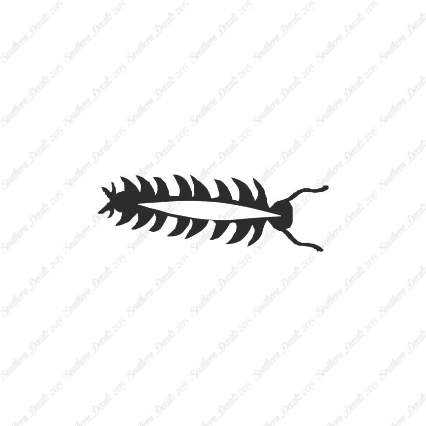 Centipede Bug Insect