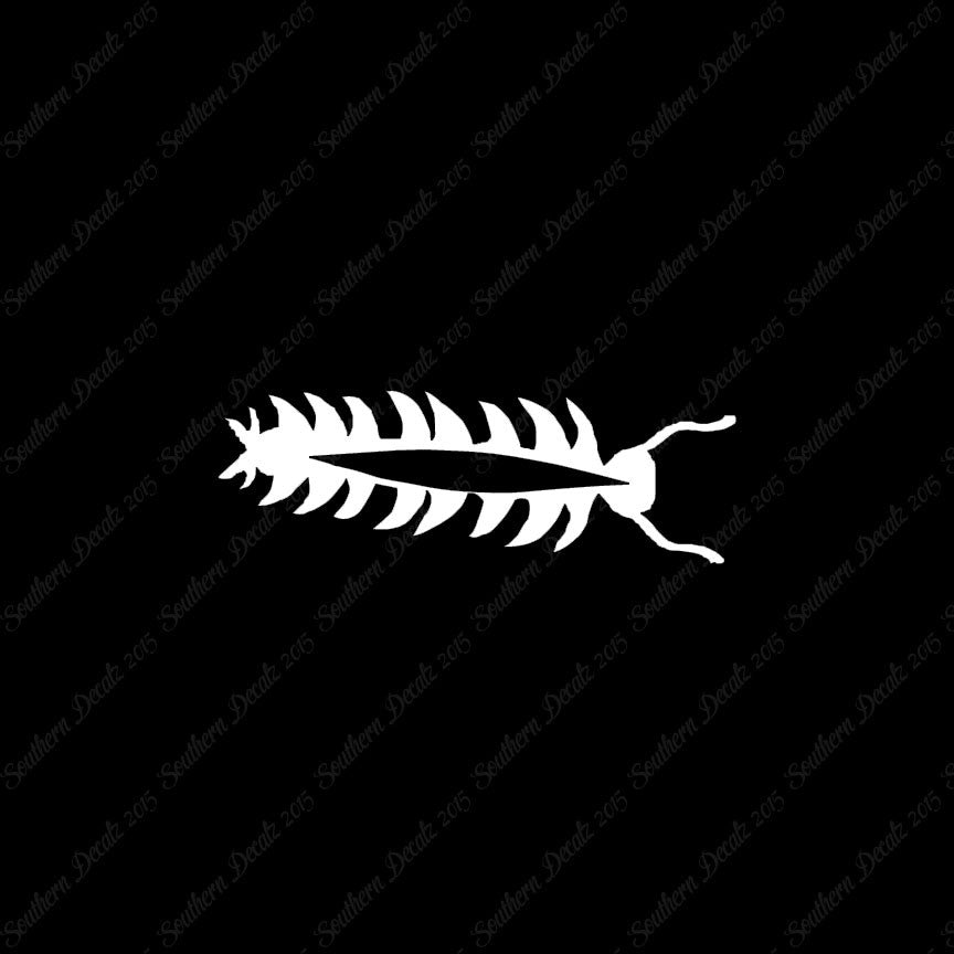 Centipede Bug Insect