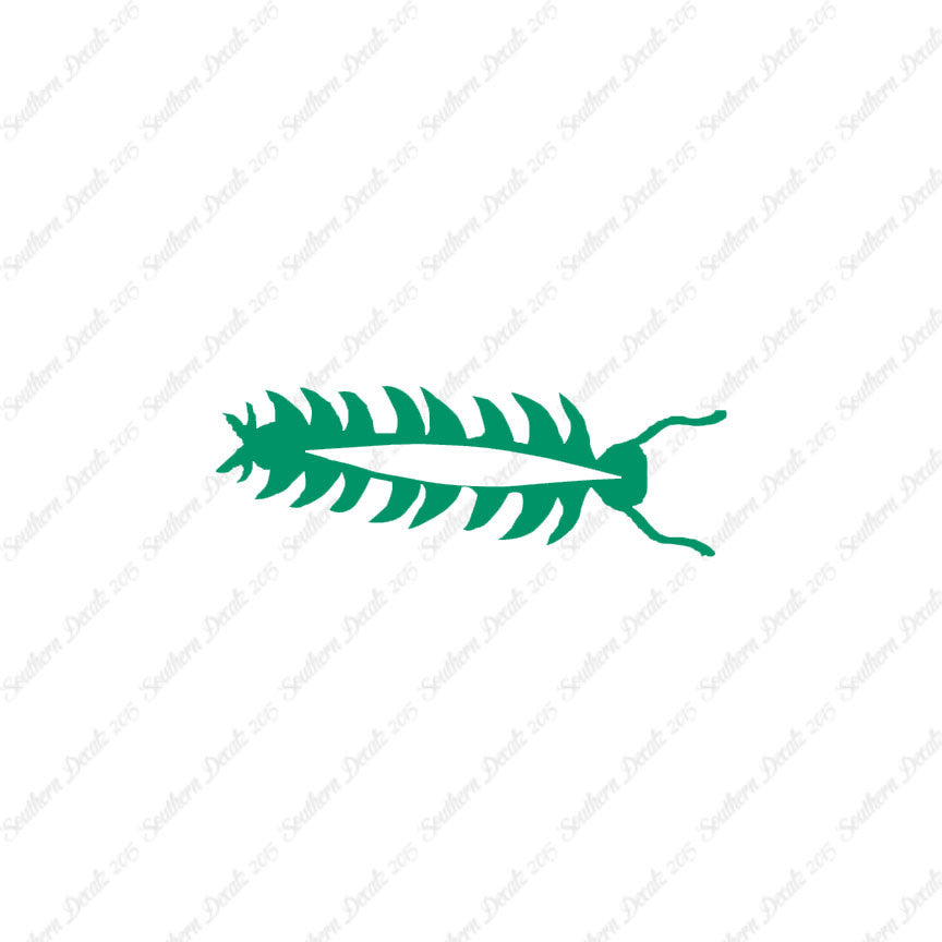Centipede Bug Insect
