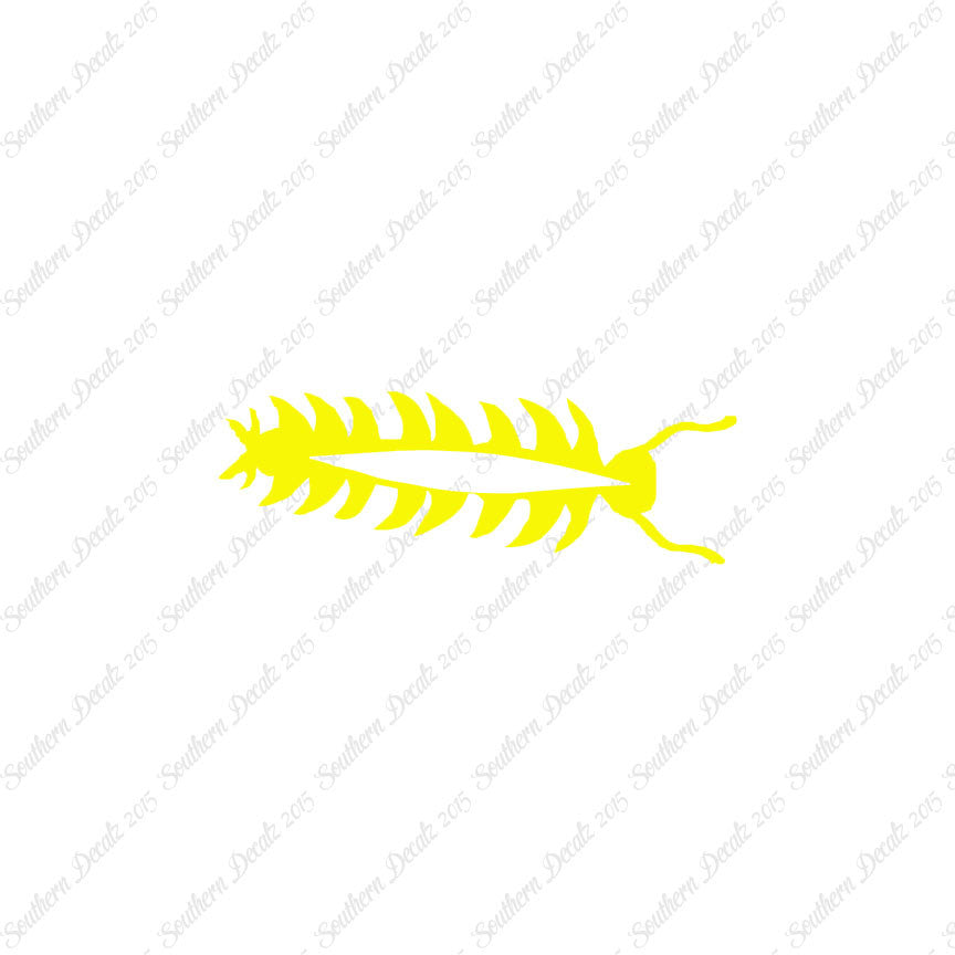 Centipede Bug Insect