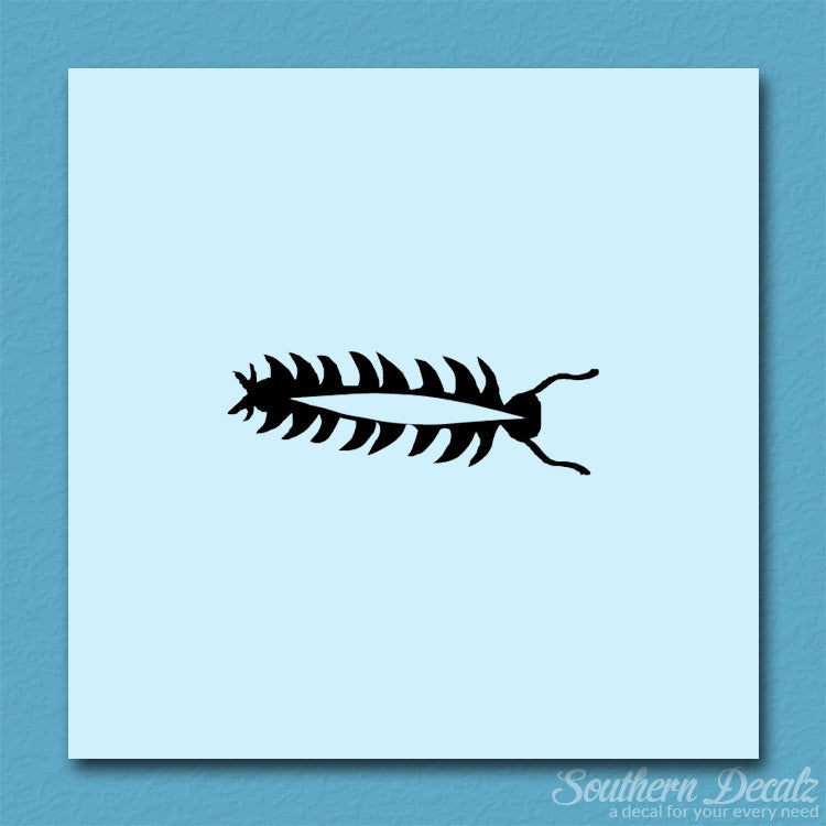Centipede Bug Insect