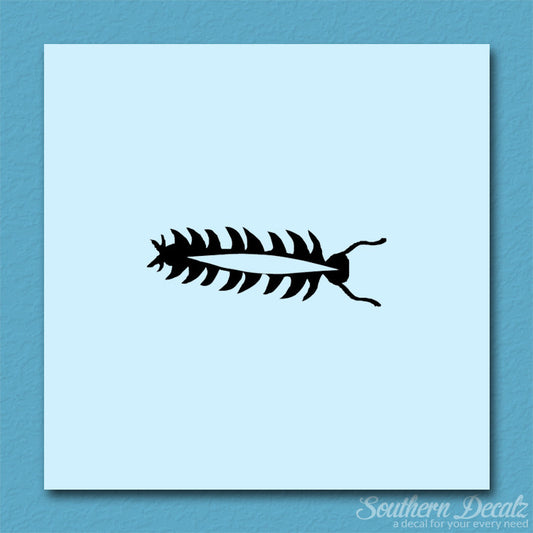 Centipede Bug Insect