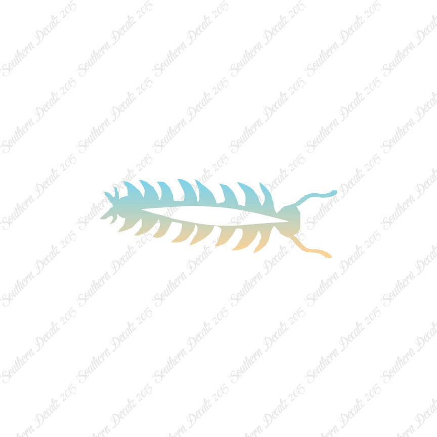 Centipede Bug Insect