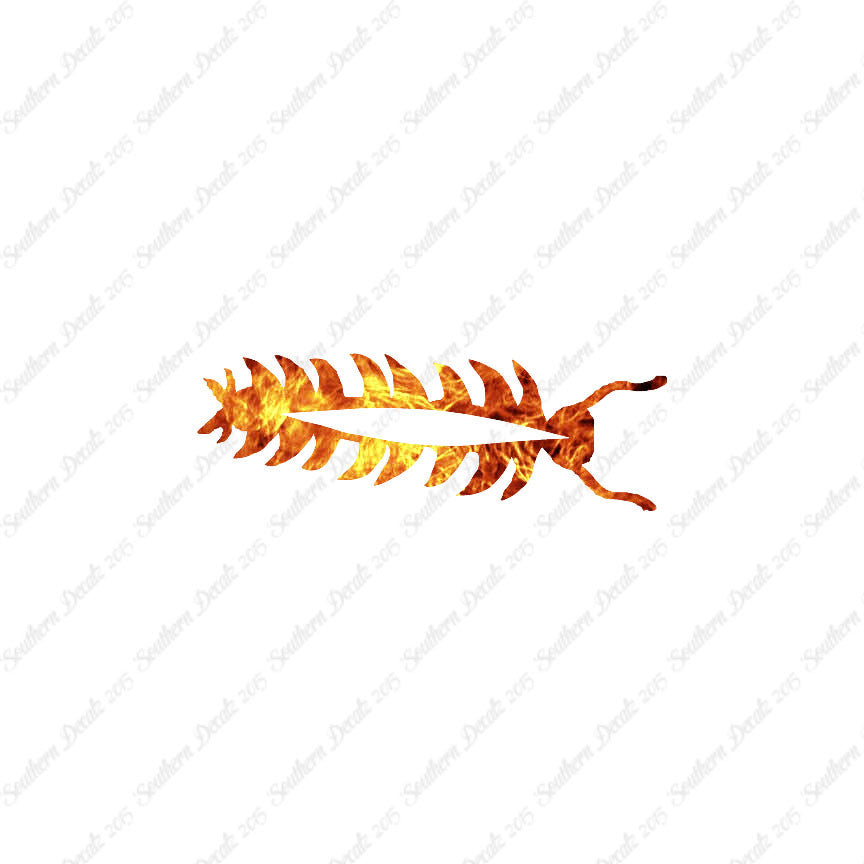 Centipede Bug Insect