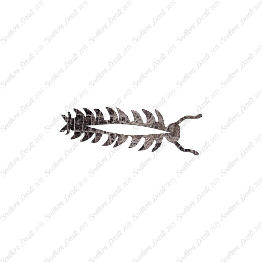 Centipede Bug Insect