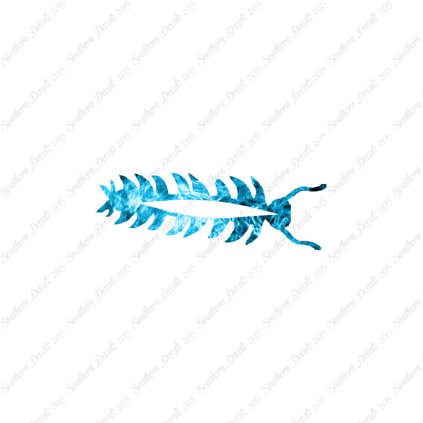 Centipede Bug Insect