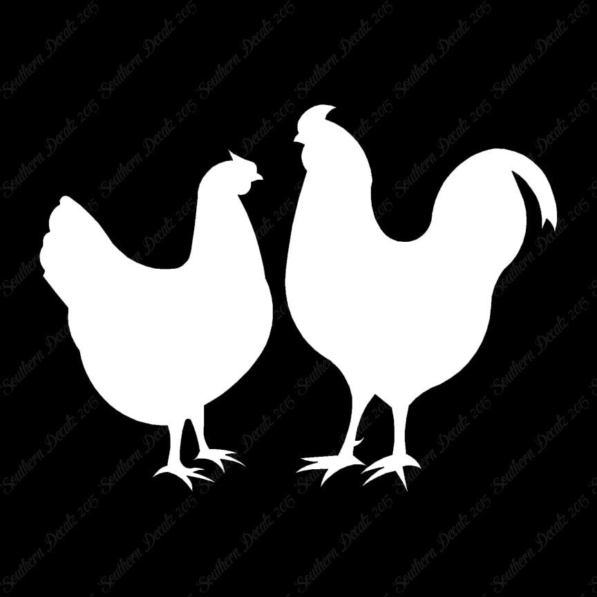 Chicken Rooster Bird