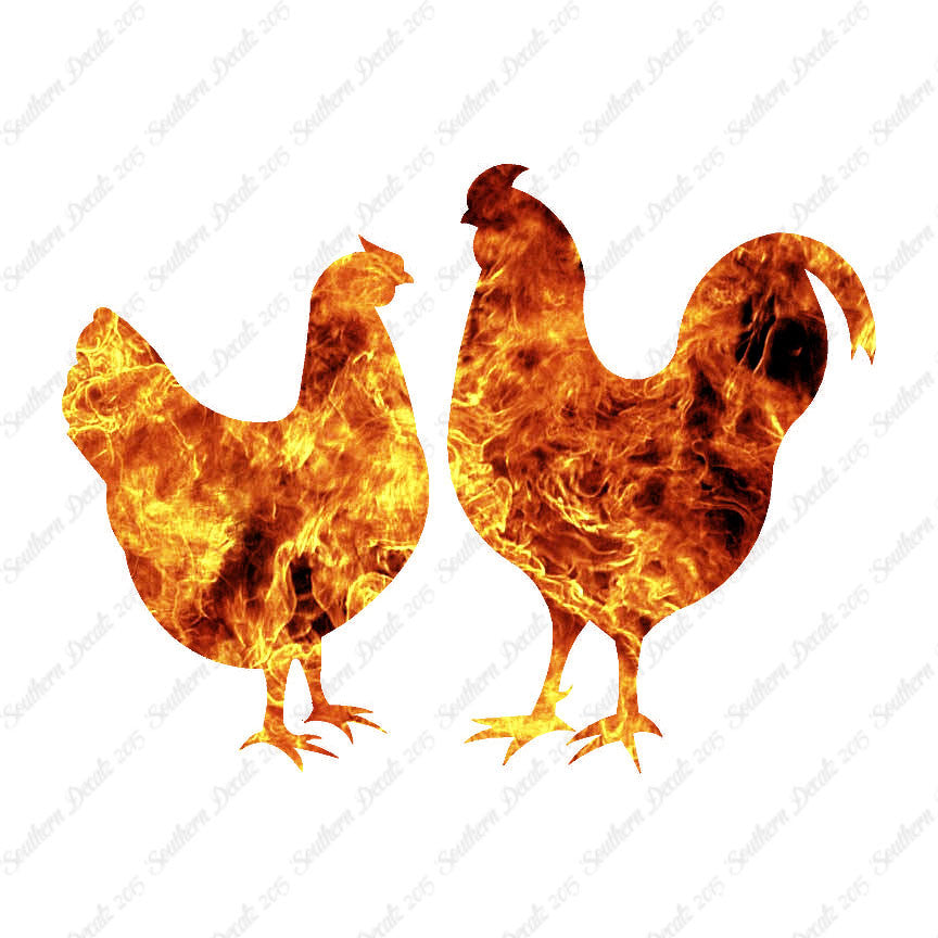 Chicken Rooster Bird