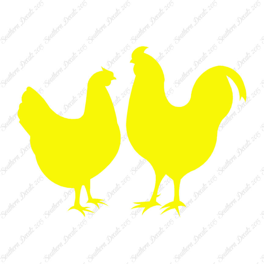 Chicken Rooster Bird