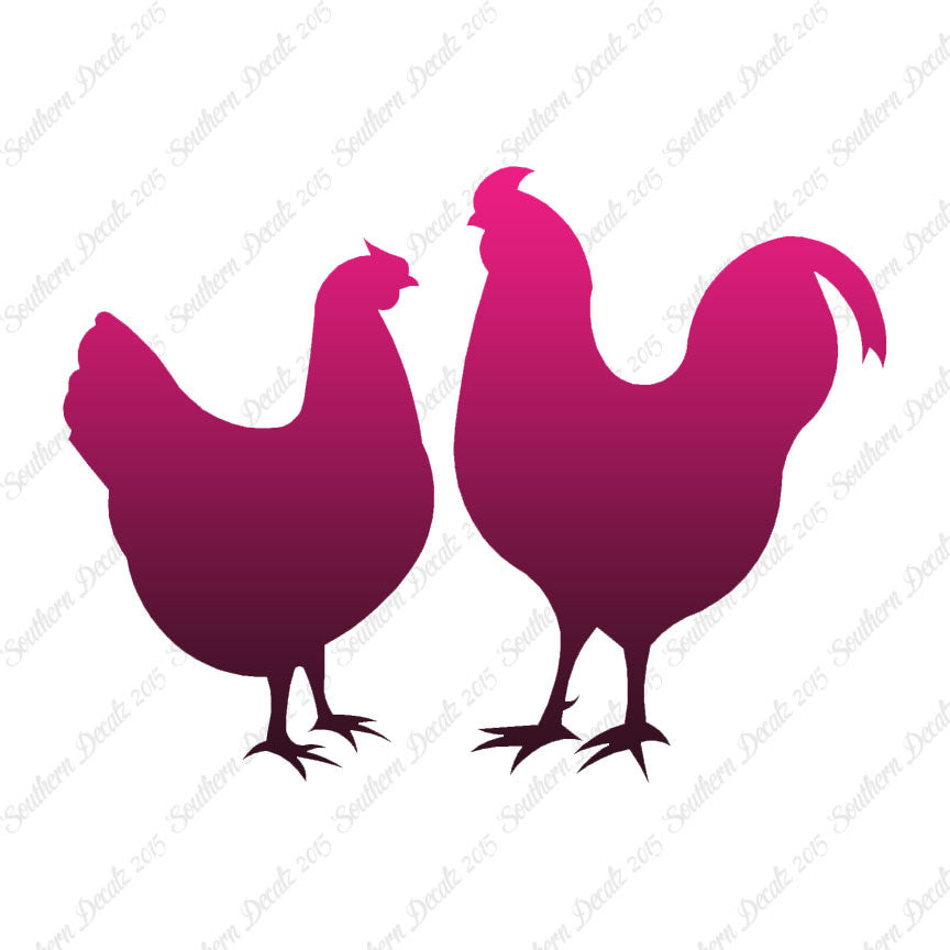 Chicken Rooster Bird