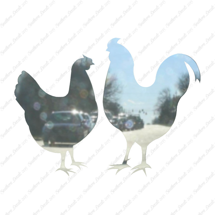 Chicken Rooster Bird
