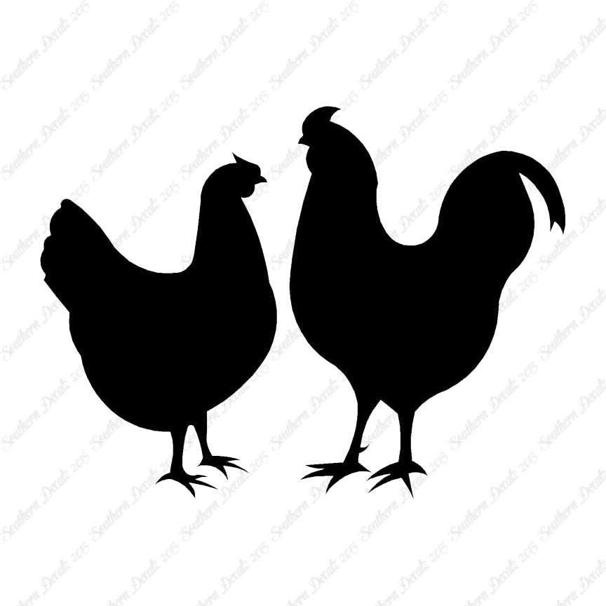Chicken Rooster Bird