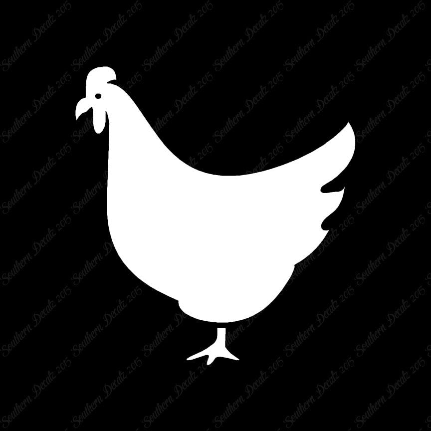 Chicken Poultry