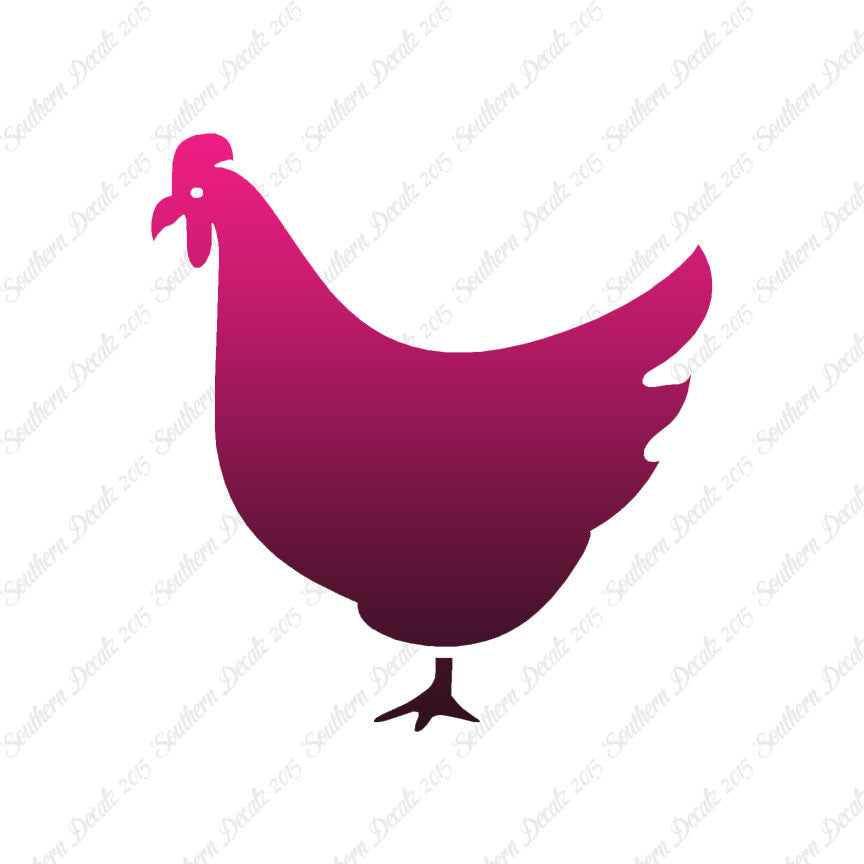 Chicken Poultry