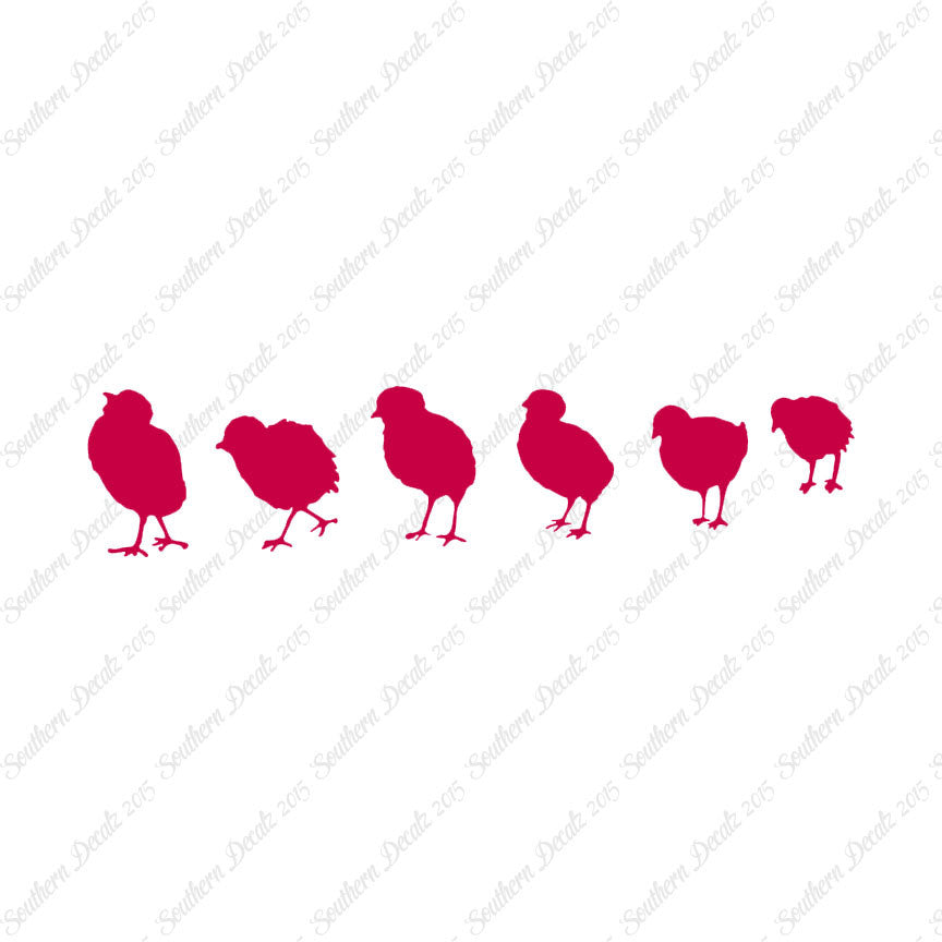 Chicks Poultry Chicken