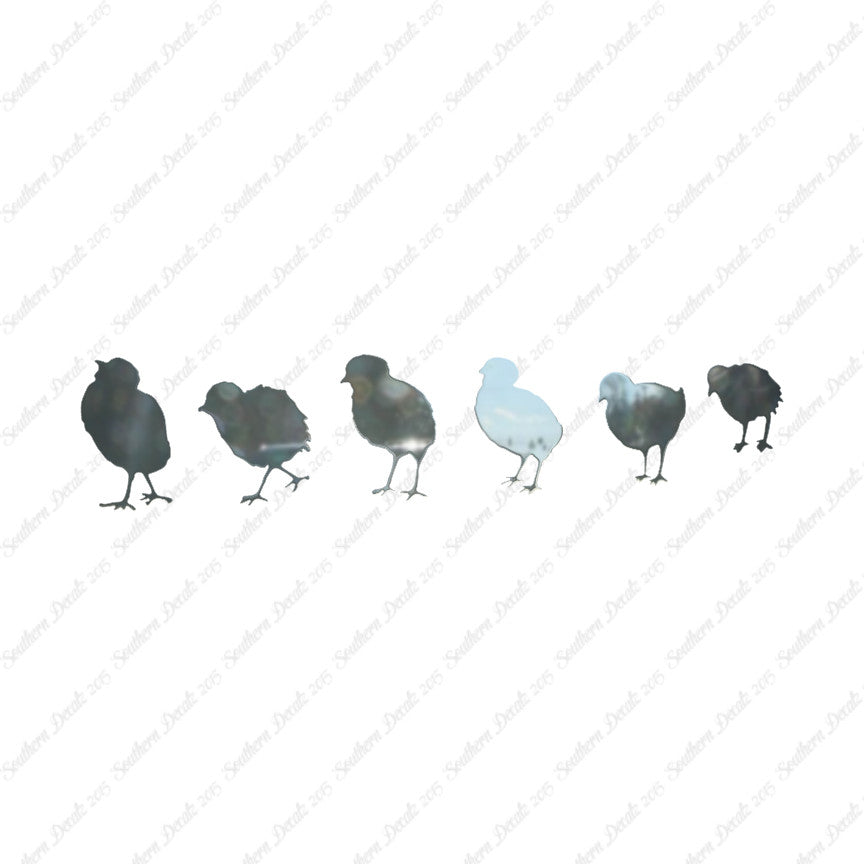 Chicks Poultry Chicken