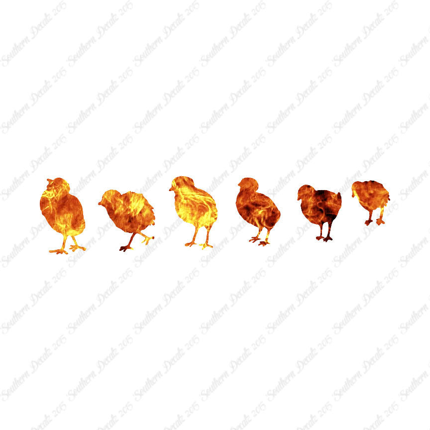 Chicks Poultry Chicken