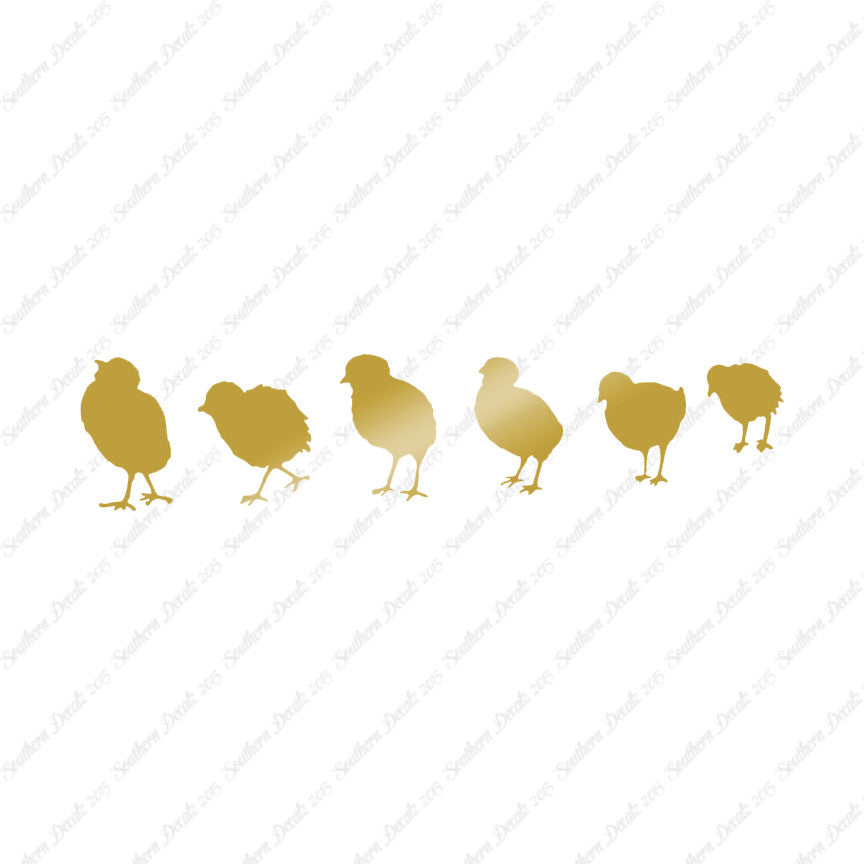 Chicks Poultry Chicken