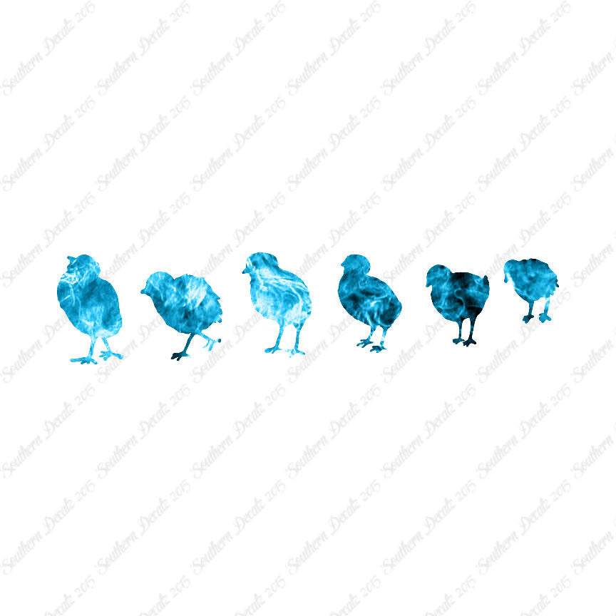 Chicks Poultry Chicken