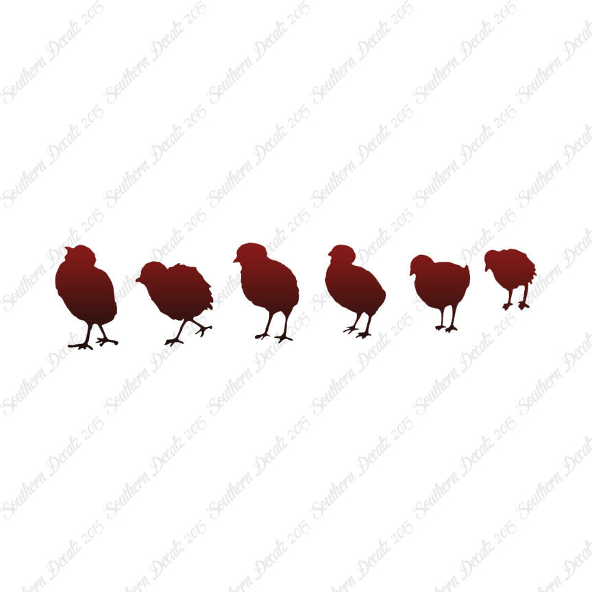 Chicks Poultry Chicken