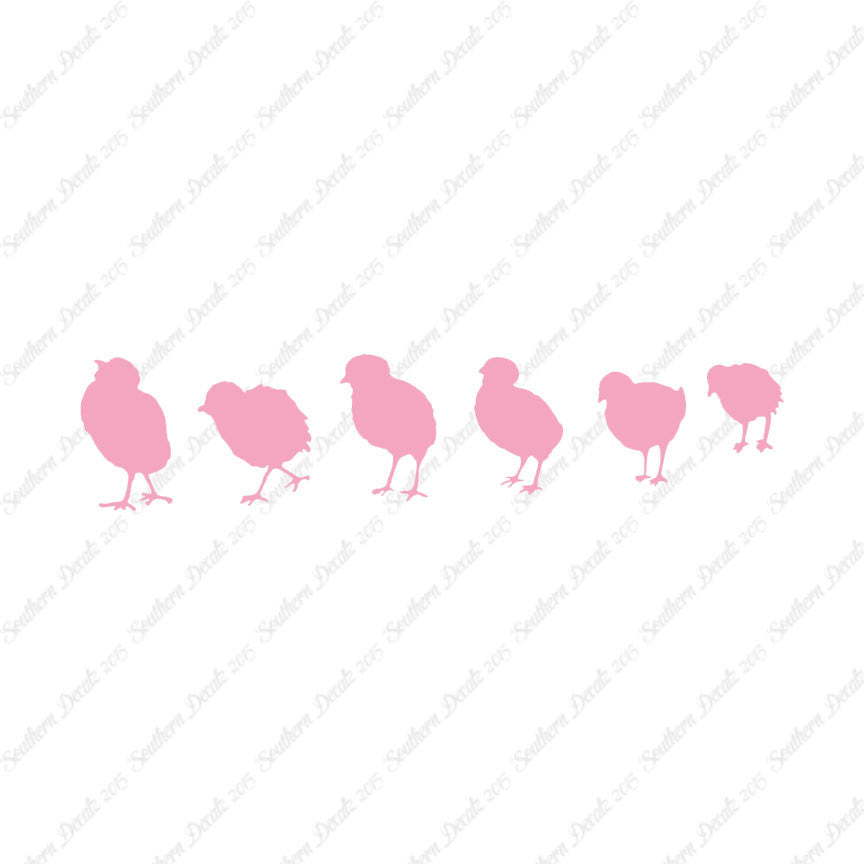 Chicks Poultry Chicken