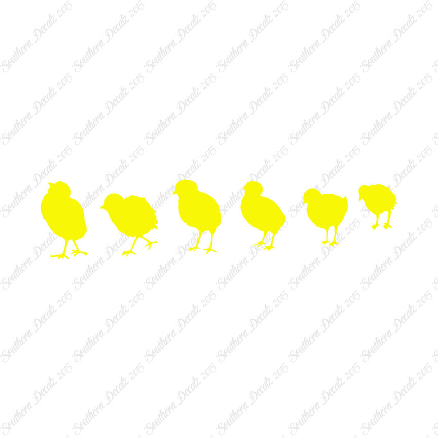 Chicks Poultry Chicken